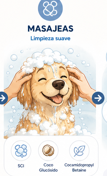 Perrito con espuma durante un masaje suave