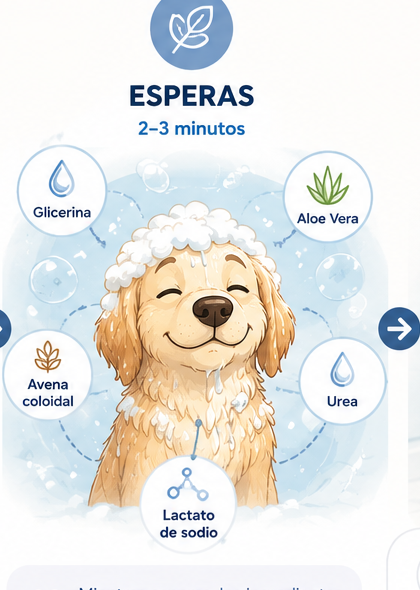 Perrito relajado mientras actúan los ingredientes hidratantes