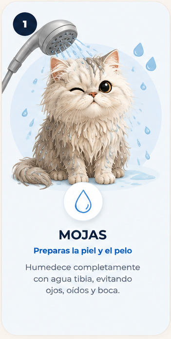Paso 1 para usar Shampoo Hidratante Octapet: mojar completamente al gato con agua tibia
