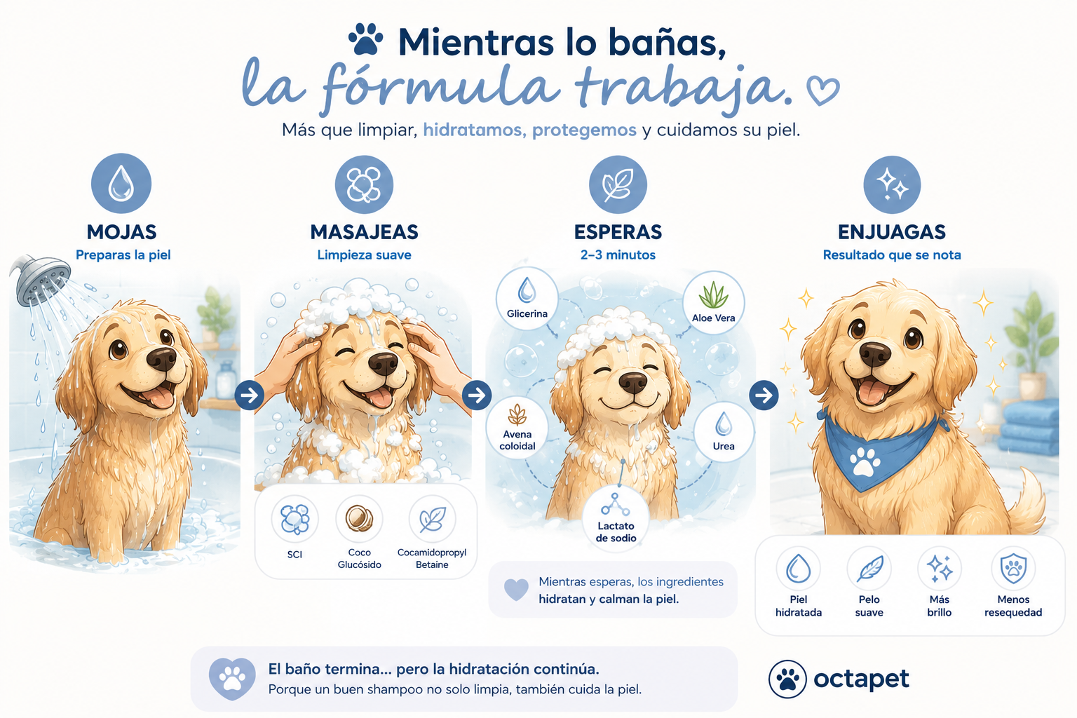 Proceso completo de uso del shampoo hidratante para perros: mojar, masajear, esperar y enjuagar