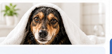 Moka envuelta en una toalla después del baño con Shampoo Esencial Octapet